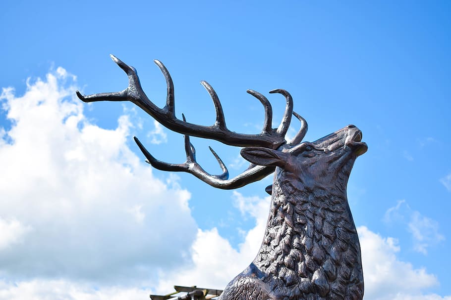 deer, statue, blue sky, deer head, antler, cloud - sky, nature HD wallpaper