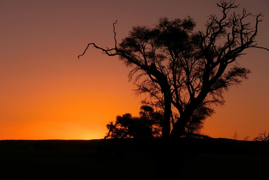 Africa, Sunset, Namibia, Evening, mood, landscape, silhouette HD wallpaper