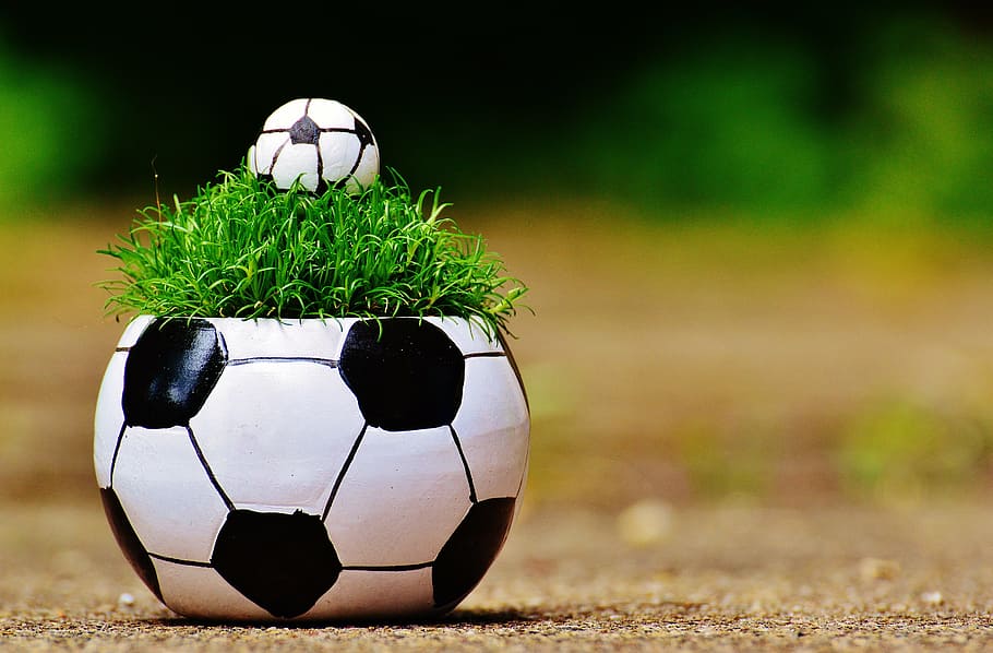 soccer-themed plant pot in shallow photography, european championship, HD wallpaper