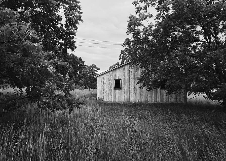 Abandoned, Building, Structure, Spooky, decay, vintage, cereal plant HD wallpaper