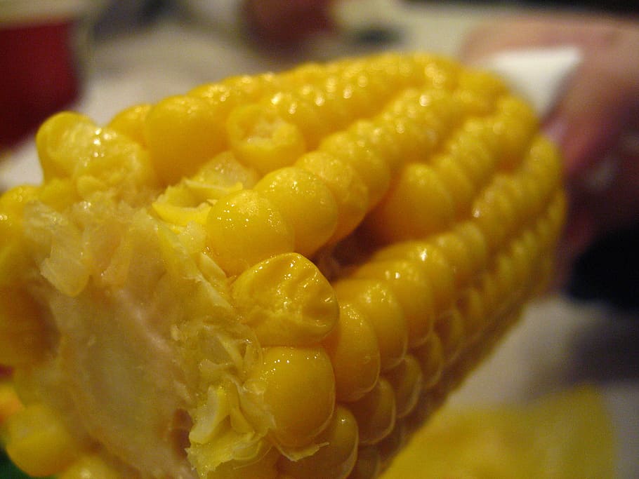 corn, food, kfc corn, yellow, food and drink, freshness, close-up, HD wallpaper