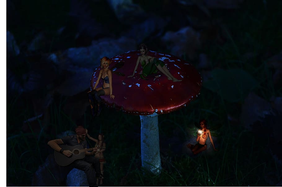 fantasy, fly agaric, elves, mood, fairytale, nature, food, plant HD wallpaper