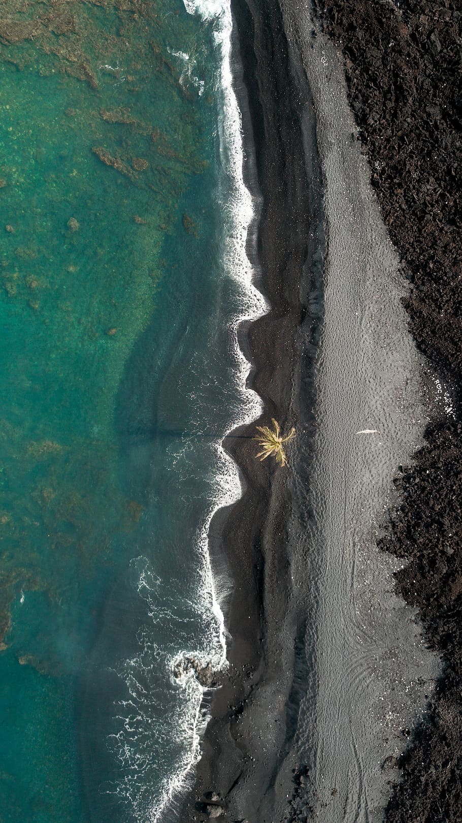 aerial photography of beachside, bird's eye view of sea shore