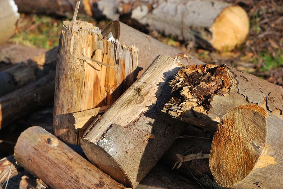 wood, tree, old, wood - material, log, timber, firewood, lumber industry HD wallpaper