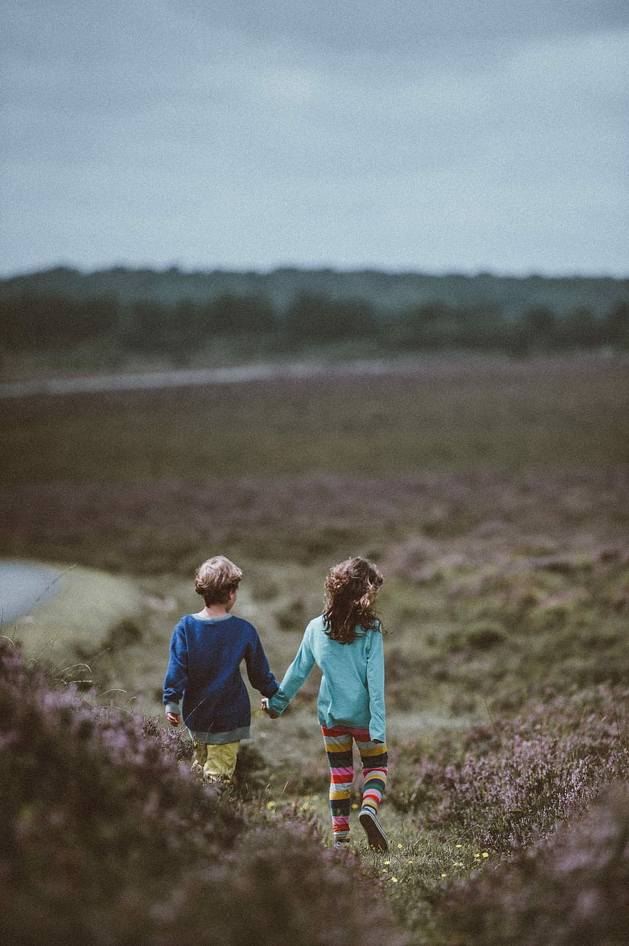 1000 Siblings Pictures  Download Free Images on Unsplash