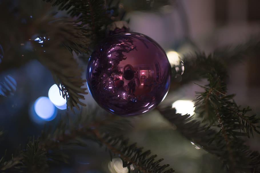 christmas, decor, ball, tree, lights, celebration, holiday HD wallpaper