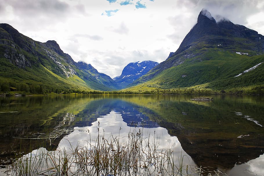 photo of mountains reflecting on body of water, plants, trees HD wallpaper