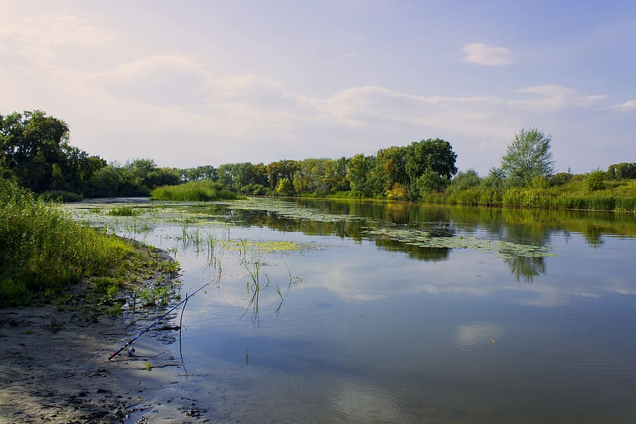 summer, river, trees, water, plant, tranquility, reflection HD wallpaper