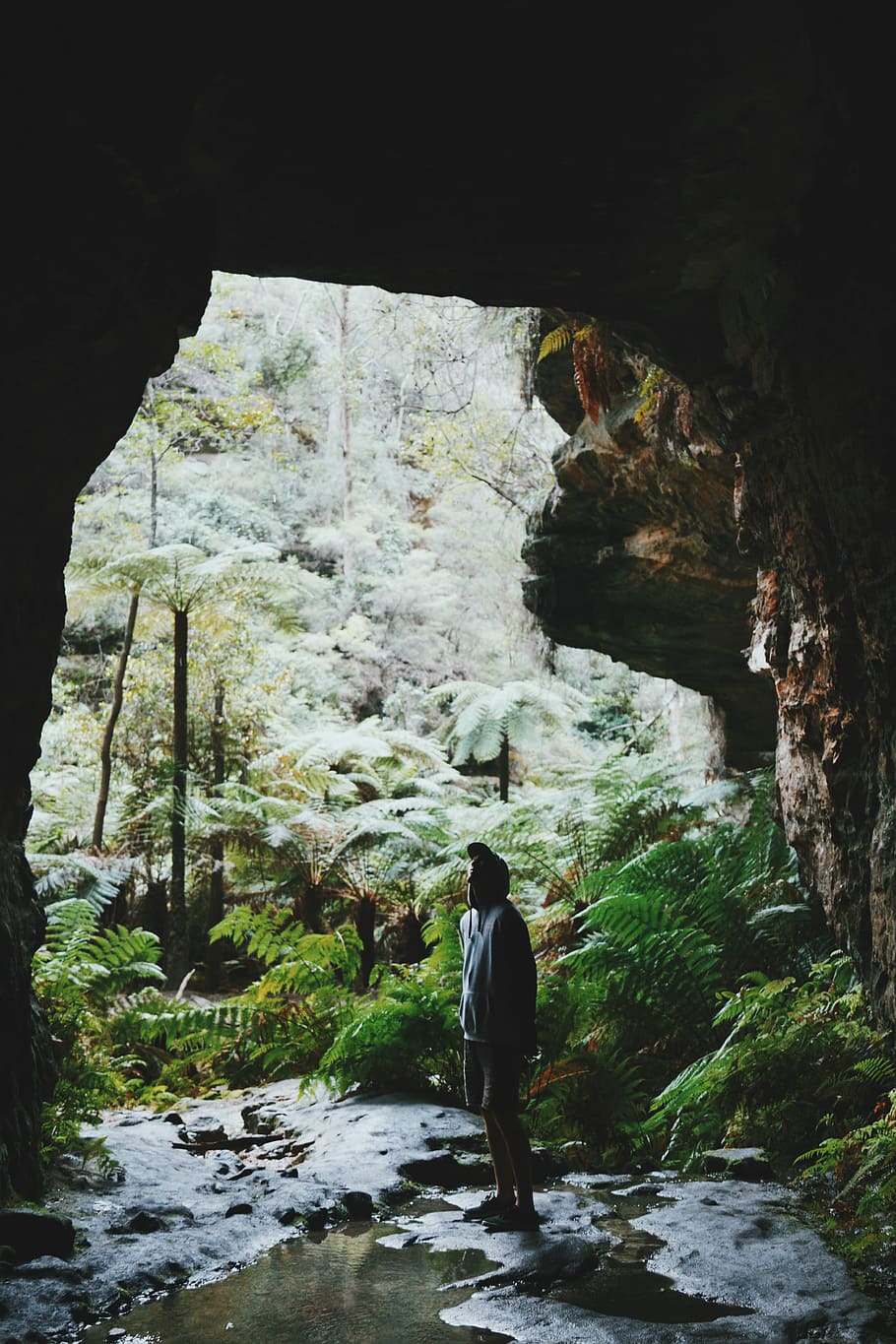man standing at cave entrance, explore, australium, forest HD wallpaper