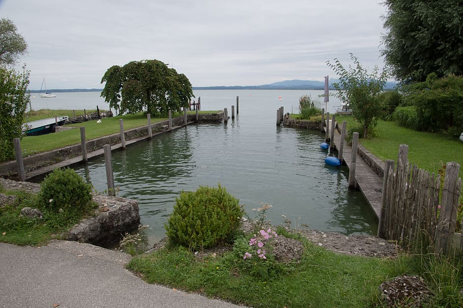 waters, tree, lake, river, plant, nature, sky, day, beauty in nature HD wallpaper