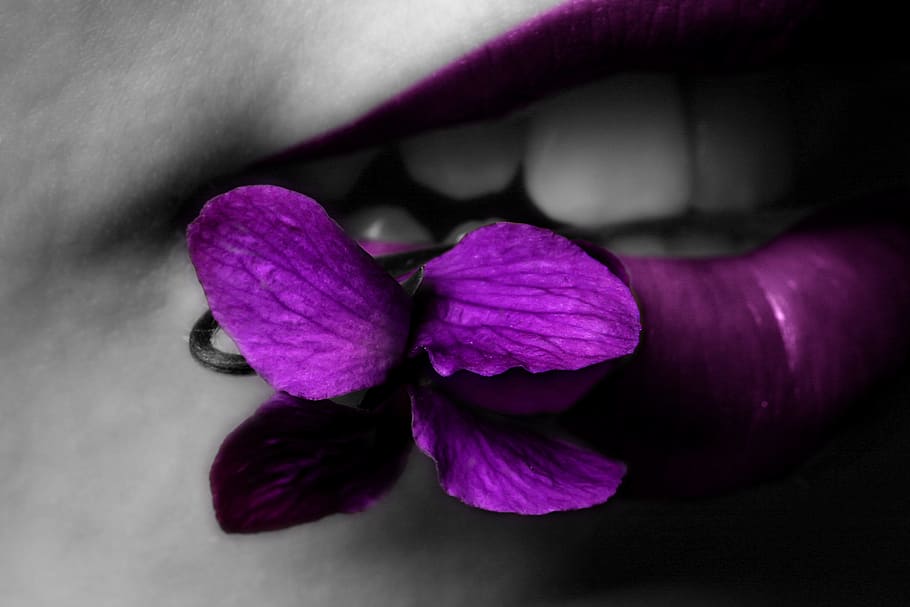 Purple, Lips, Violet, Flower, women, beauty, close-up, females HD wallpaper