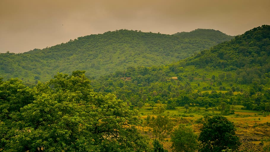green, rock, tree, nature, forest, stone, mountain, sky, outdoors HD wallpaper