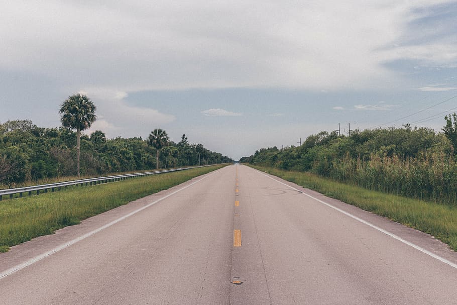 gray concrete road beside green grass, plants, trees, nature HD wallpaper