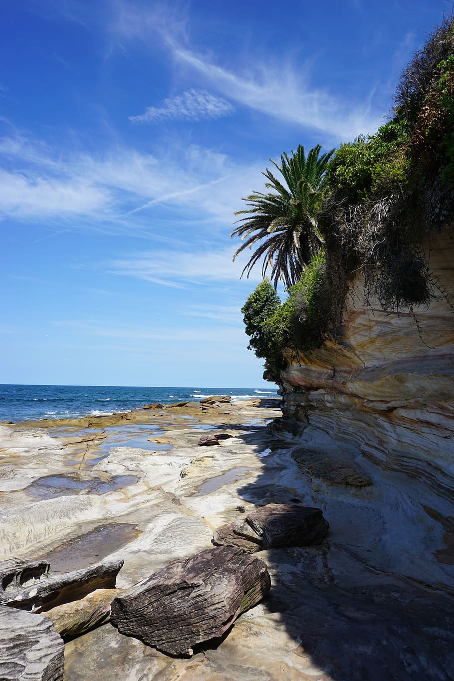 nature, beach, cronulla, australia, blue, sky, tropical, sunny HD wallpaper