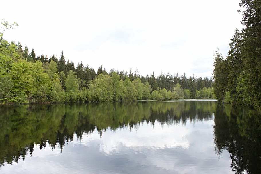 nature, landscape, water, tree, plant, reflection, lake, beauty in nature HD wallpaper