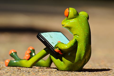 green frog using black smartphone, Computer, Fun, Frog Eyes HD wallpaper