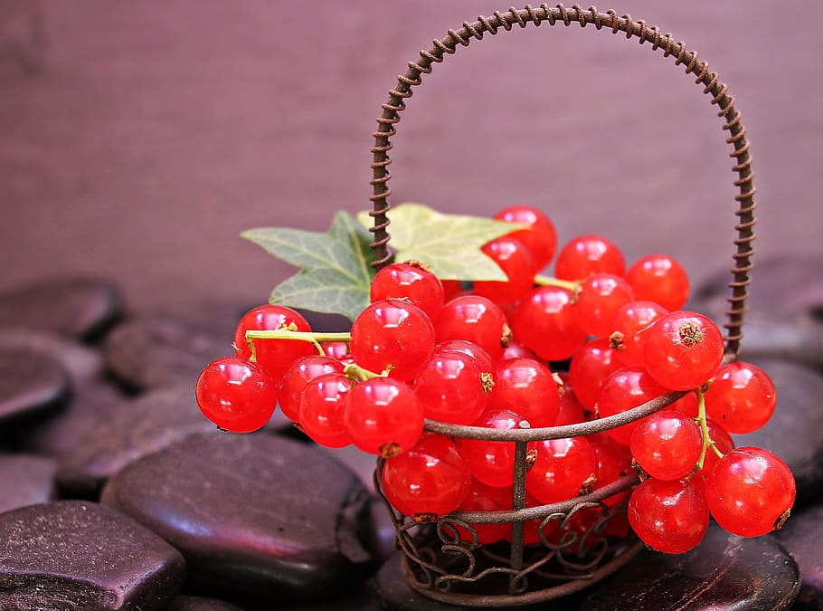 shallow focus photography of cherries, currants, fruit, red currant HD wallpaper