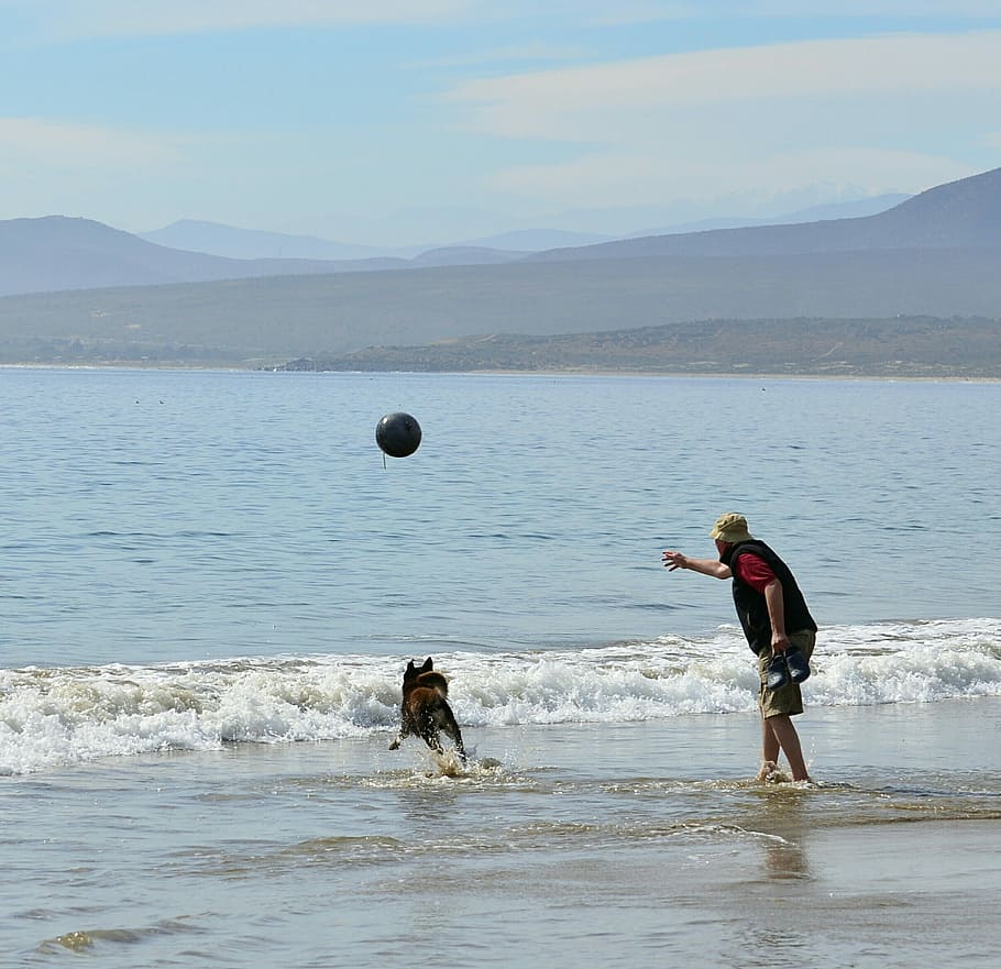 Beach, Game, Man, Dog, Coquimbo, guanaqueros, iv region, chile HD wallpaper