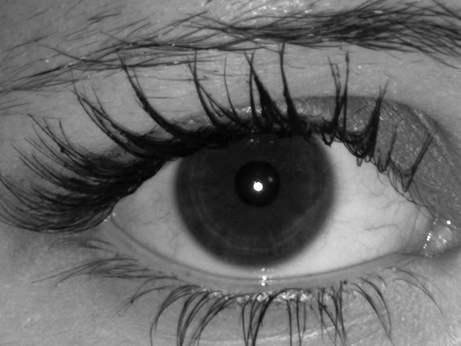 eye, sight, black and white, eyelash, human Eye, eyeball, iris - Eye HD wallpaper