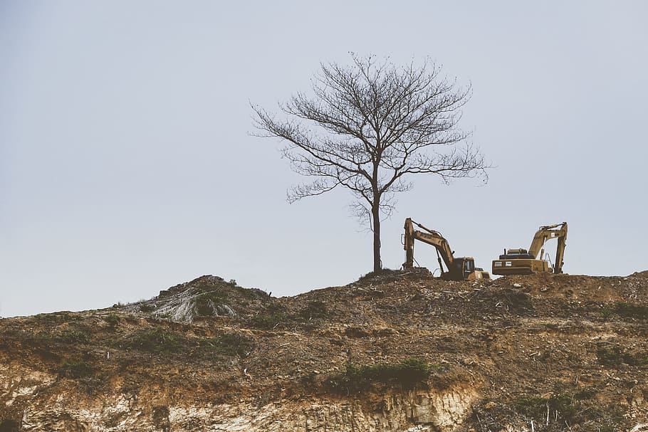 bare tree beside a yellow excavator, brown tree on mountain, daytime HD wallpaper