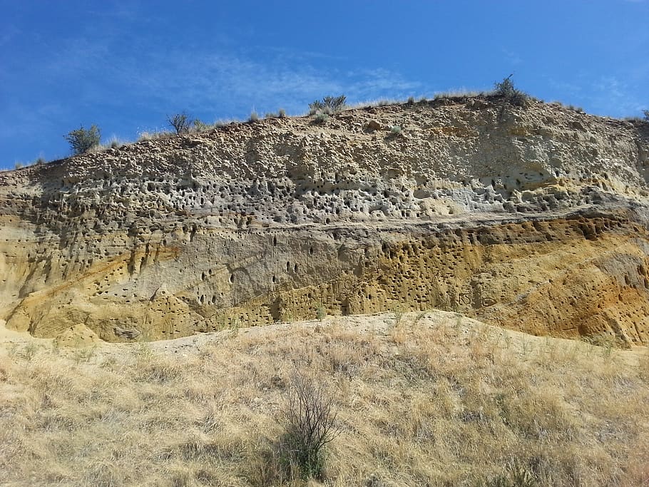 cliff, nests, sandstone, hillside, sky, plant, rock formation HD wallpaper