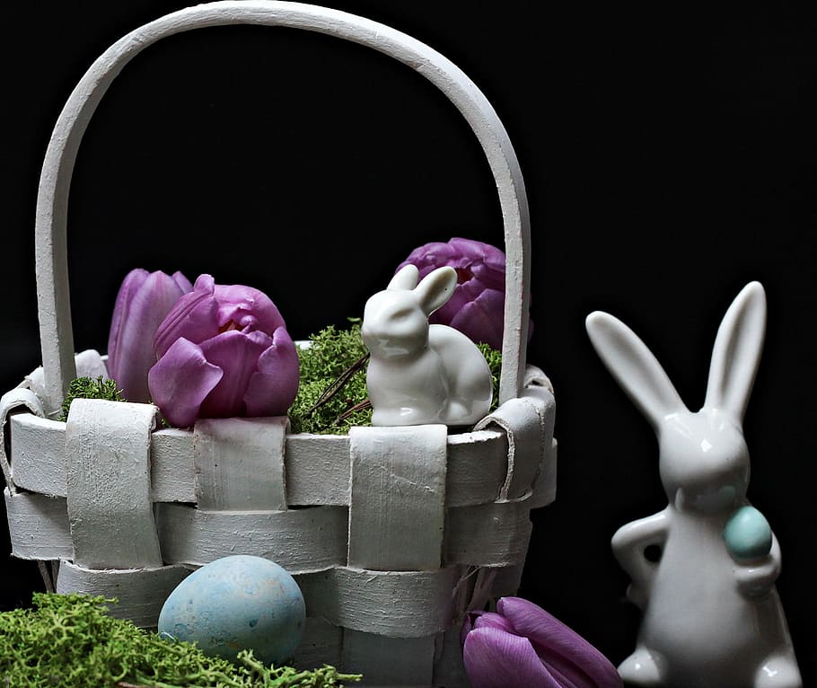 hare, easter bunny, spring, figure, tulips, purple, purple tulips HD wallpaper