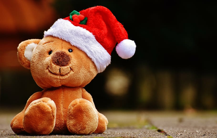 brown bear with Santa hat plush toy, christmas, teddy, soft toy, HD wallpaper