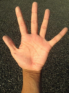 Palm, Hand, Finger, Bleaching, palm reading, young, japanese HD wallpaper