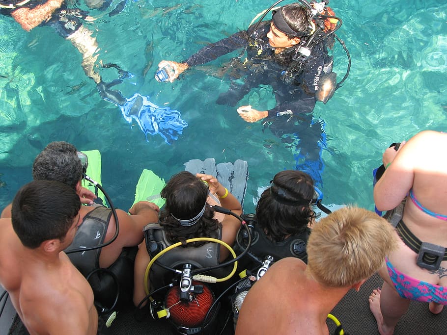 immersion, training, great, preparation, water, group of people HD wallpaper