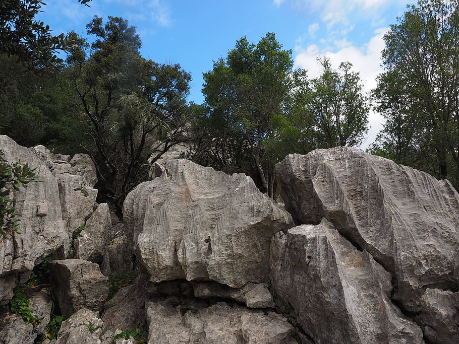 green leaf trees on rocky hill at daytime, limestone, limestone rock formations