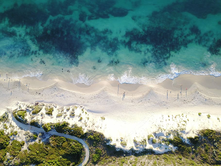 aerial view of ocean beside trees during daytime, aerial photography of coastline at daytime HD wallpaper