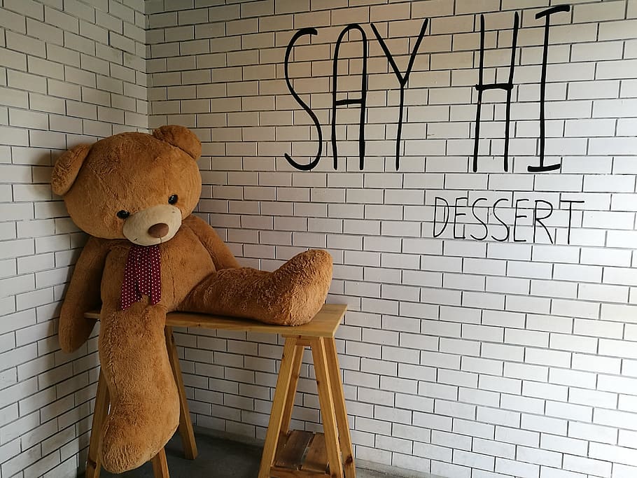 teddy bear, restaurant, cafe, representation, animal representation HD wallpaper