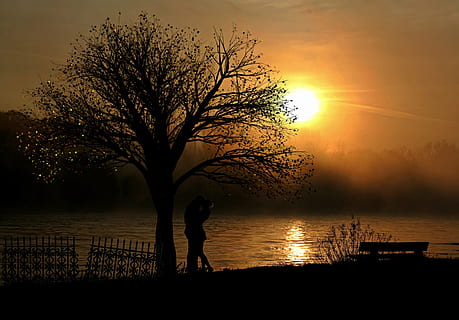 couple silhouette under a tree, lovers, pair, sunset, romance HD wallpaper