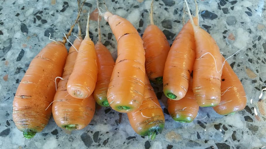 Carrot, Carrots, Tuber, orange color, food and drink, healthy eating HD wallpaper