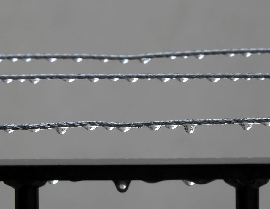drops, rain, no people, close-up, nature, focus on foreground HD wallpaper