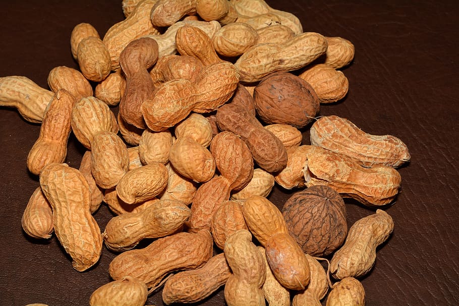 peanuts, walnuts, nutrition, healthy, food and drink, large group of objects HD wallpaper