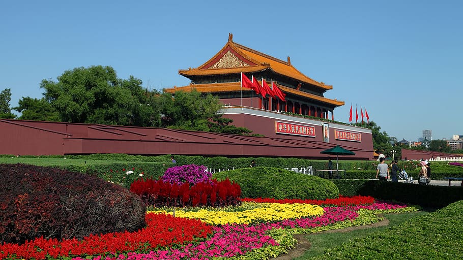temple with flower garden during daytime, beijing, tiananmen square, HD wallpaper