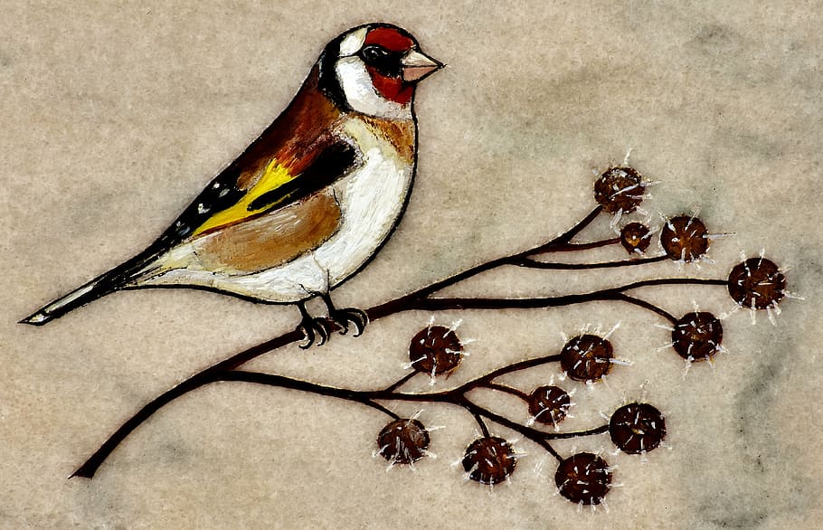 bird, image, marble, branch, creativity, artistically, paint HD wallpaper