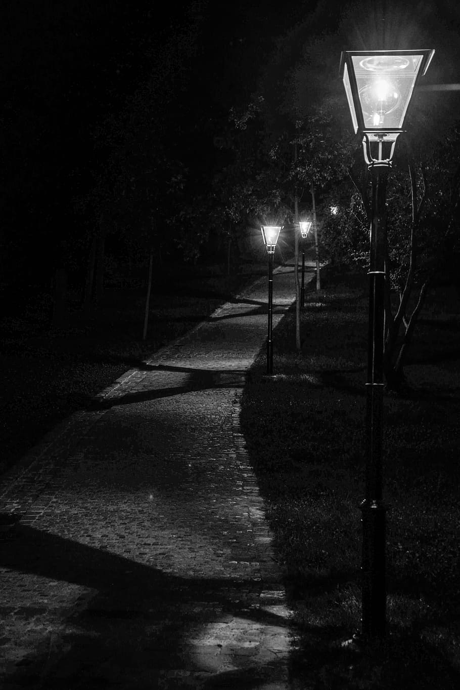 Path, Lights, Black And White, White, Park, empty, night, dark, HD wallpaper