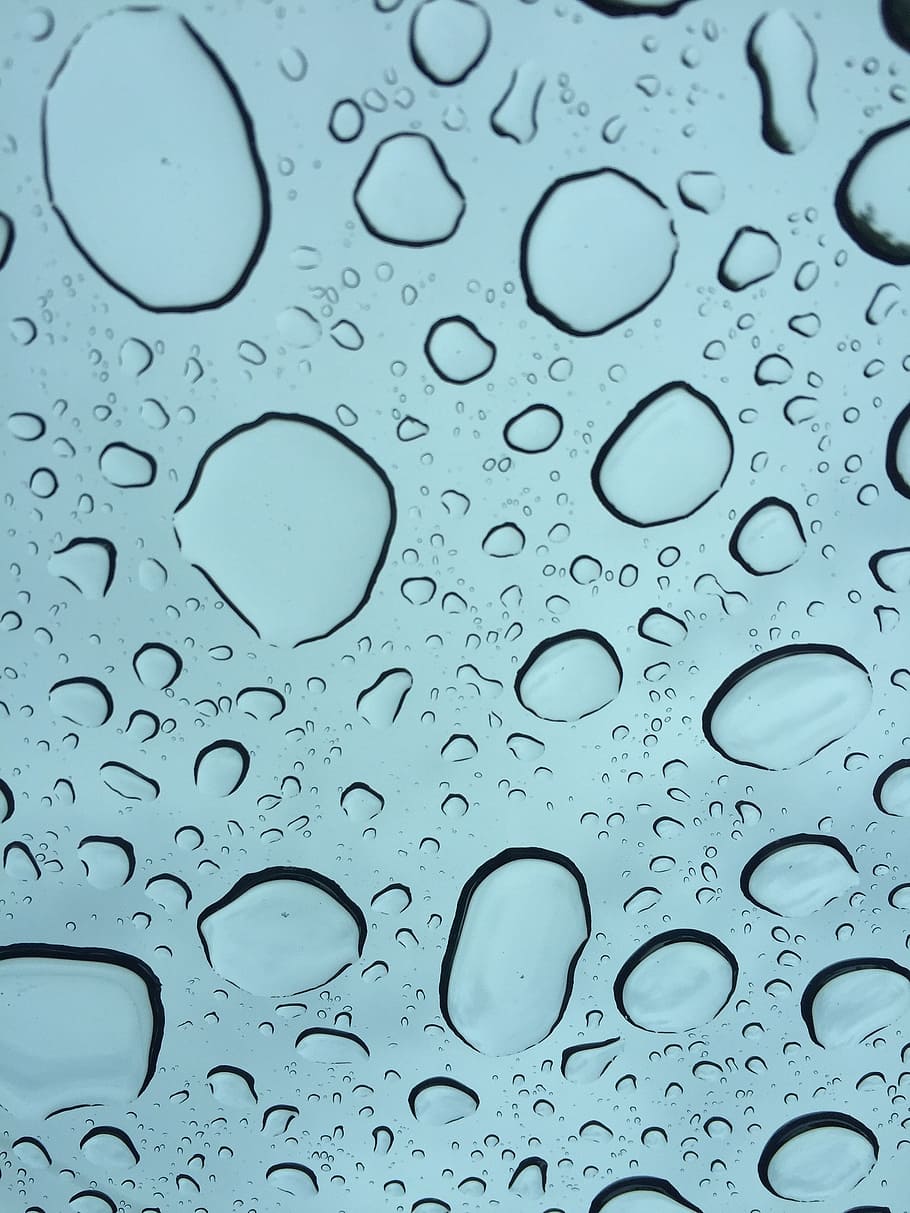 rain, drop, nature, water, background, wet, transparent, no people HD wallpaper