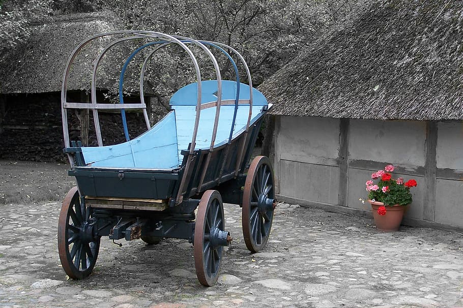 wagon, drenthe, wrought, transportation, day, plant, nature HD wallpaper