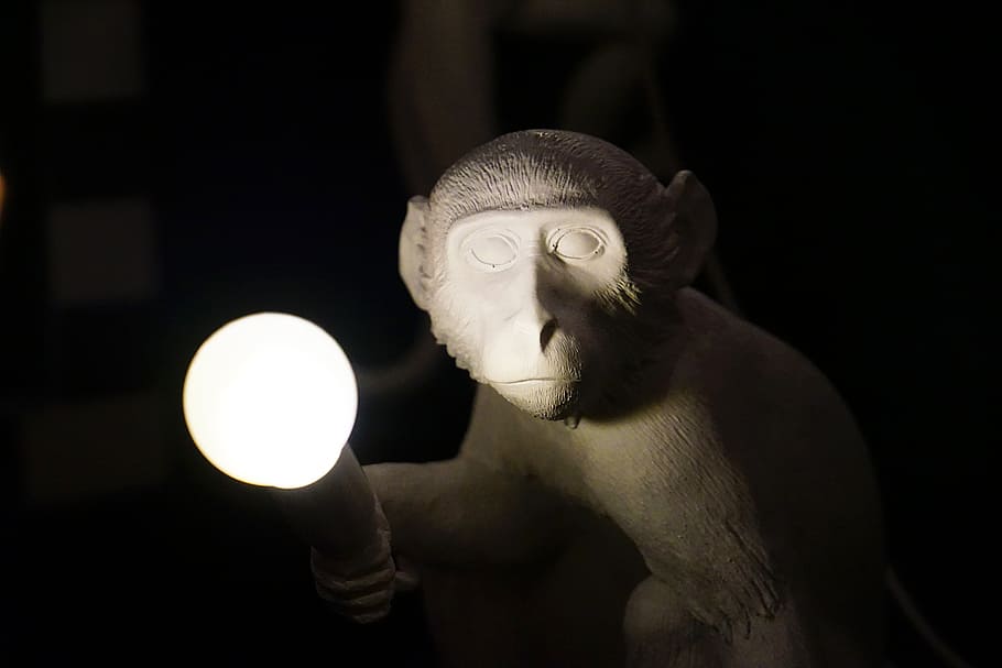 monkey, light bulb, sculpture, design, illuminated, lighting equipment HD wallpaper