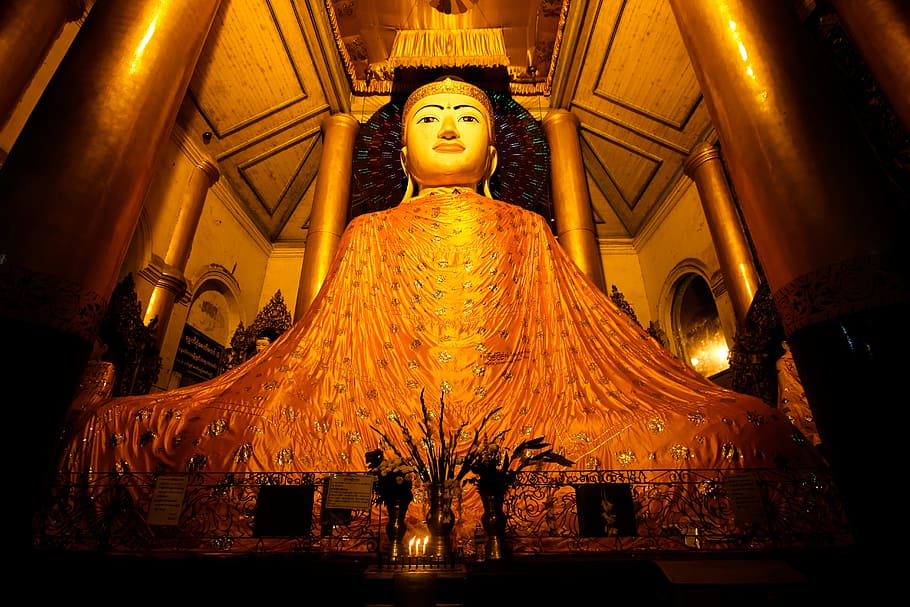 Buddha statue in room, shwedagon, golden, yangon-myanmar, the night, HD wallpaper