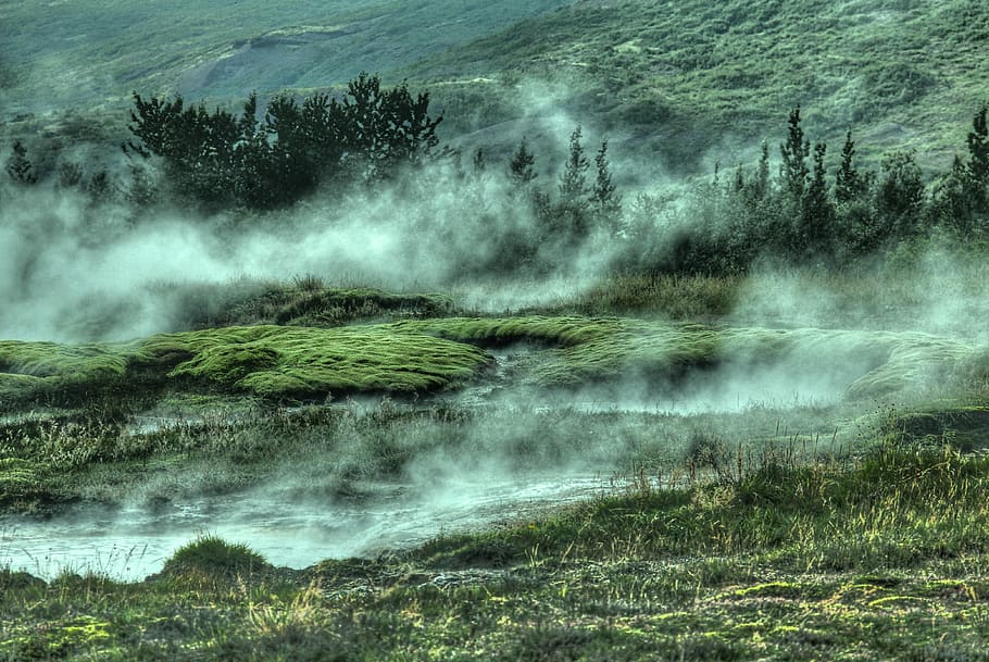 timelapse photography of trees covered by fog, forest, nature HD wallpaper