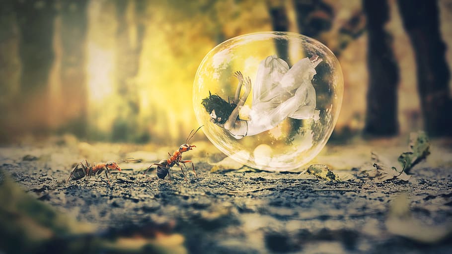 woman wearing white dress inside balloon beside ants during daytime HD wallpaper