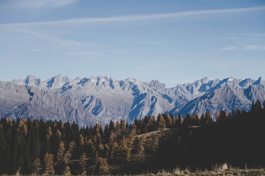 gray mountain range and brown trees, gray mountain and trees under clear sky HD wallpaper