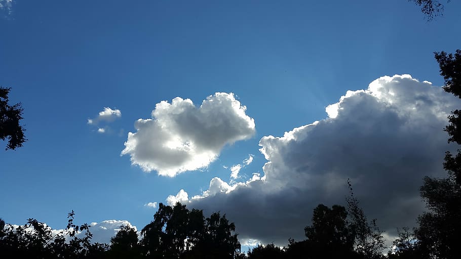 light, sun, sky, lunch, blue, tree, cloud - sky, plant, beauty in nature HD wallpaper
