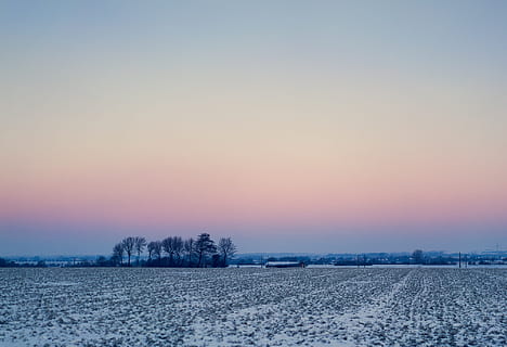 cold, snow, dawn, landscape, dusk, field, foggy, ze, zing, frost HD wallpaper