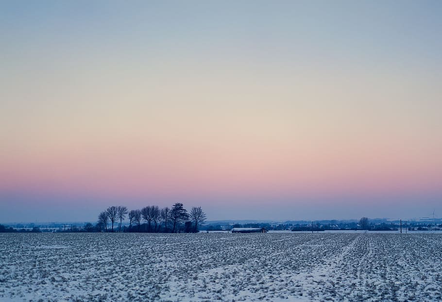 cold, snow, dawn, landscape, dusk, field, foggy, ze, zing, frost HD wallpaper