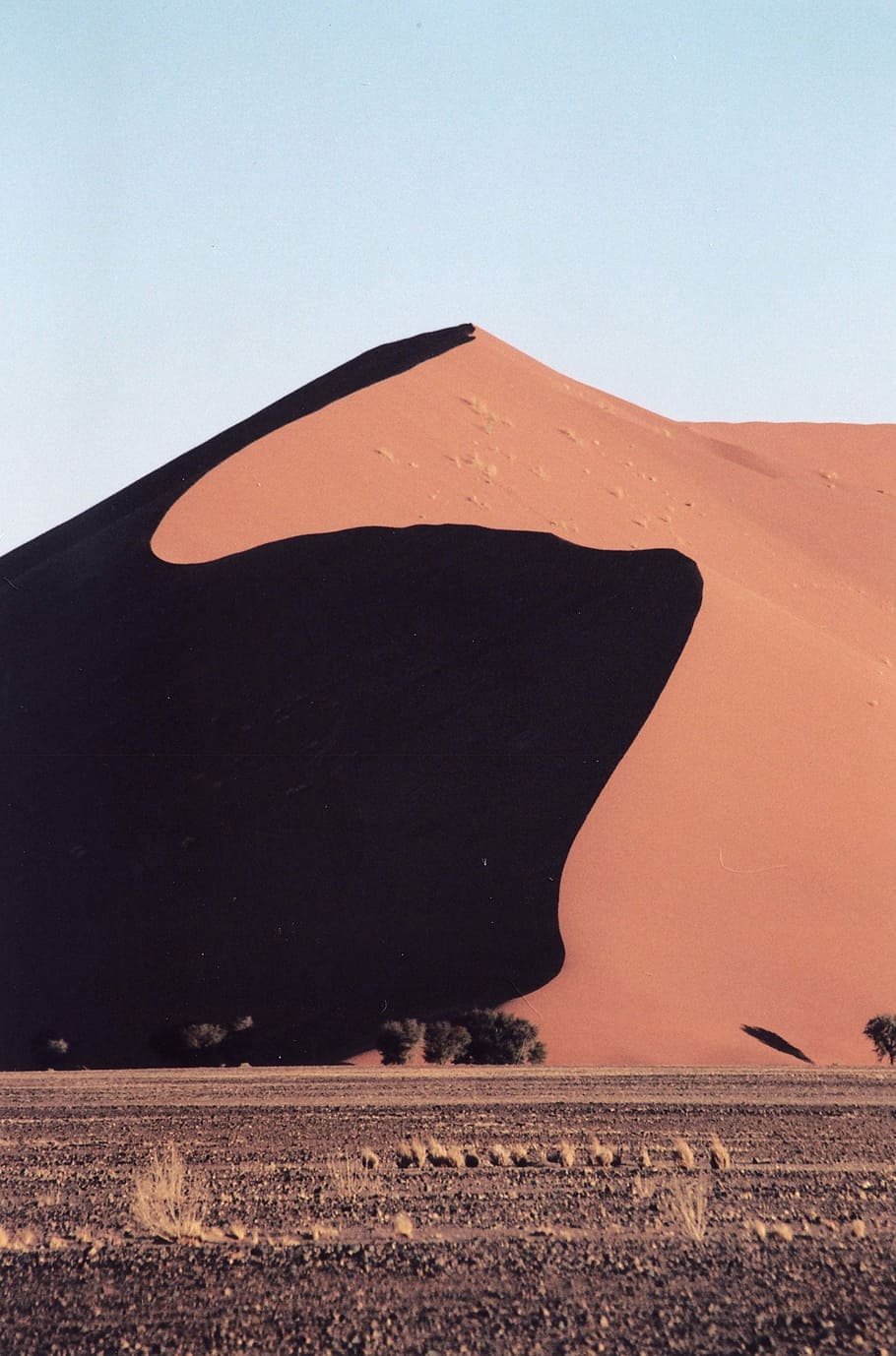 namibia, duna, sand, desert, africa, landscape, shadow, shadows HD wallpaper